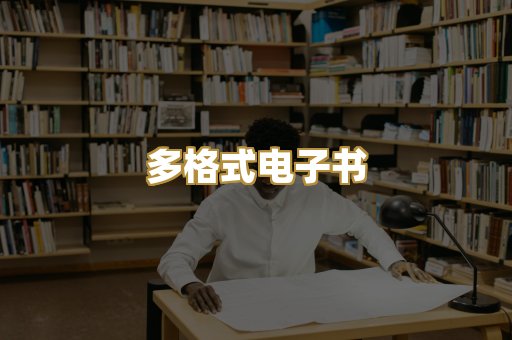 多格式电子书